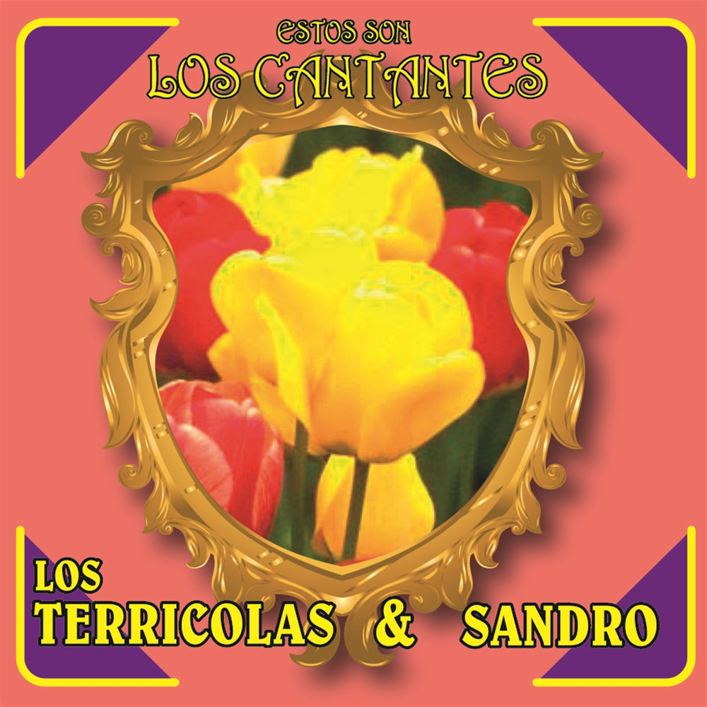 Portada de La Soledad Extraña Amiga