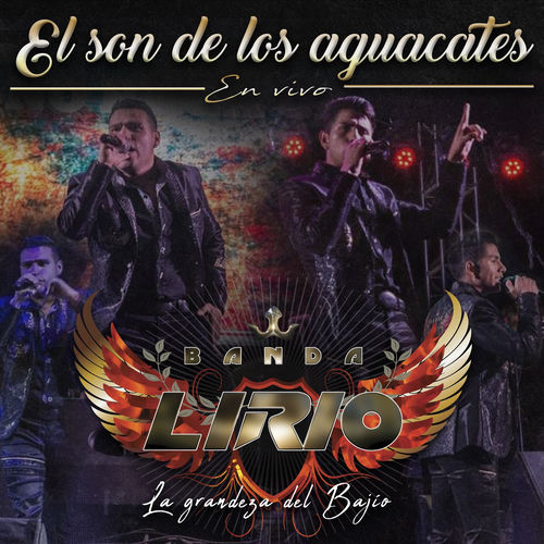 Portada de El Son de los Aguacates (En Vivo)