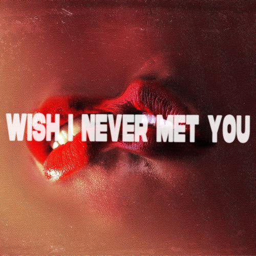 Portada de Wish I Never Met You
