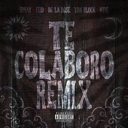 Portada de Te Colaboro (Remix)