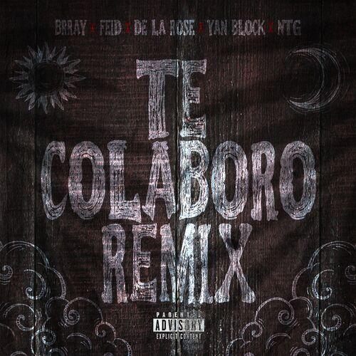 Portada de Te Colaboro (Remix)