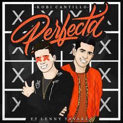 Portada de Perfecta