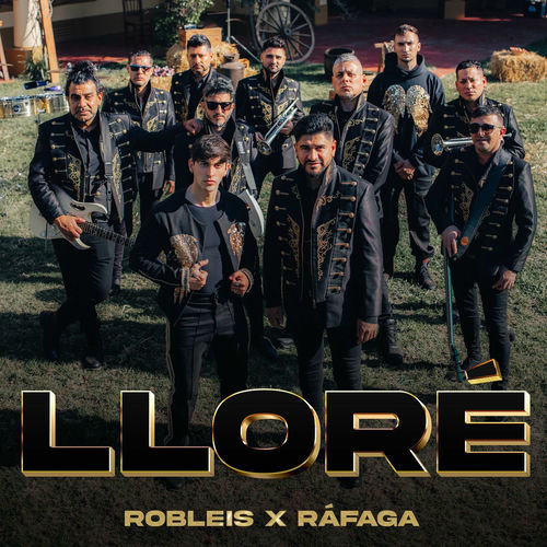 Portada de Lloré