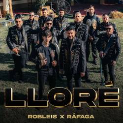Portada de Lloré