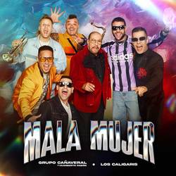 Portada de Mala Mujer