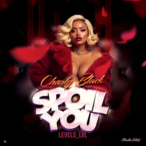 Portada de Spoil You (Radio Edit)