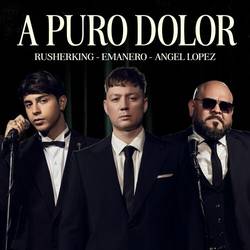 Portada de A PURO DOLOR