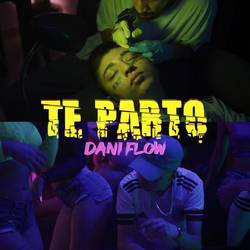 Portada de Te Parto