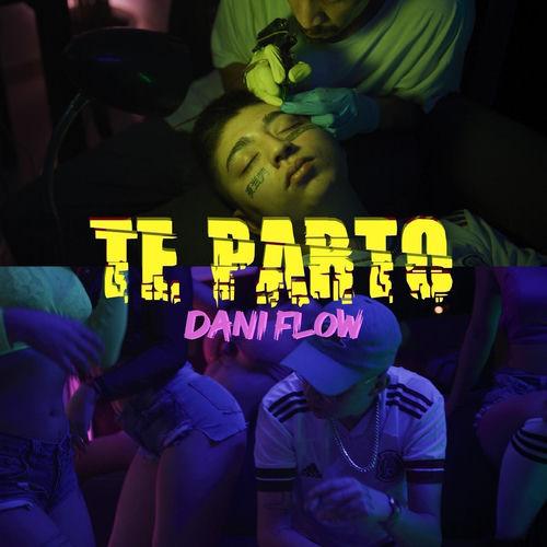 Portada de Te Parto