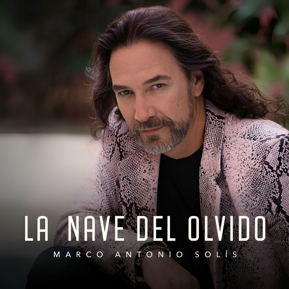 Portada de La Nave Del Olvido