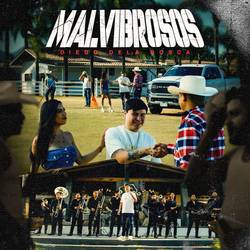 Portada de Malvibrosos