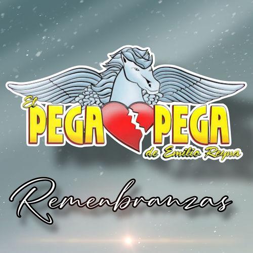 Portada de Remenbranzas