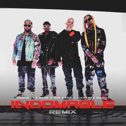 Portada de Indomable (Remix)