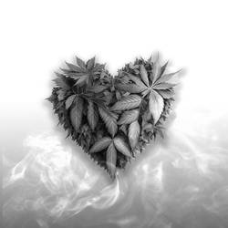 Portada de TE AMO
