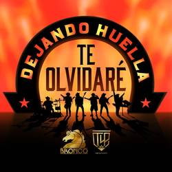 Portada de Te Olvidaré