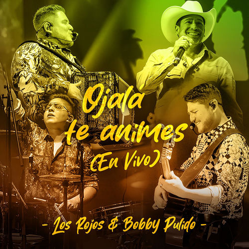 Portada de Ojalá Te Animes (En Vivo)