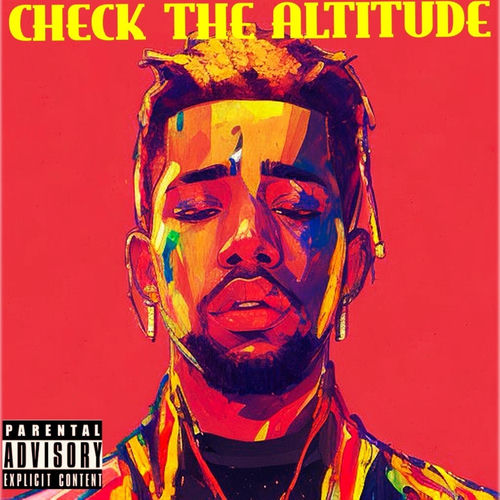 Portada de Check the Altitude