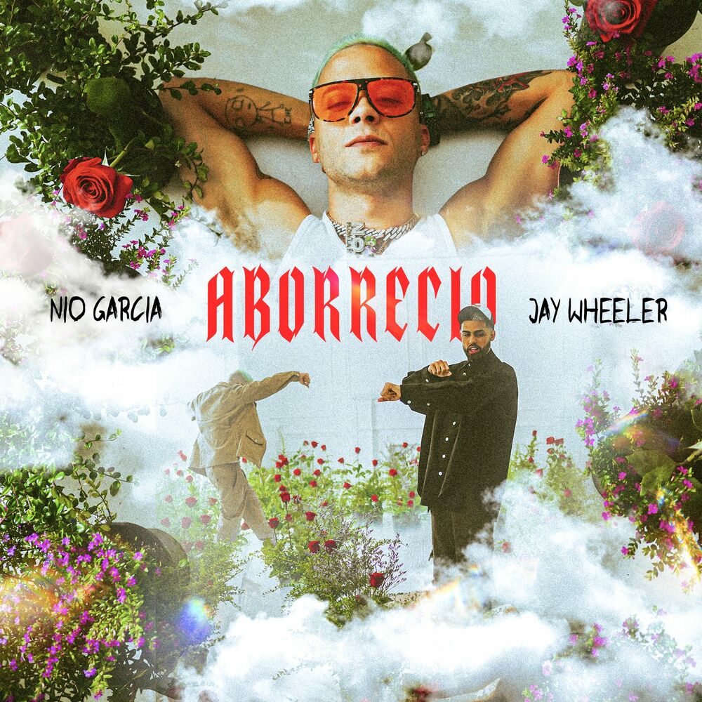 Portada de Aborrecio