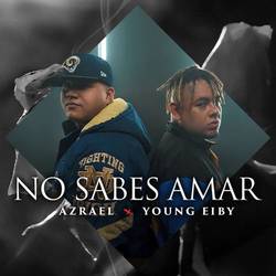 Portada de No Sabes Amar