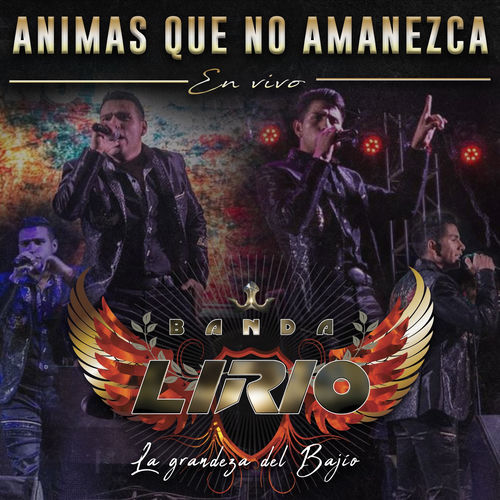 Portada de Animas Que No Amanezca (En Vivo)