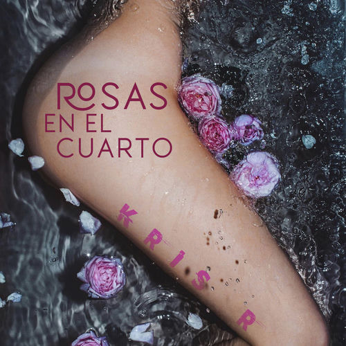 Portada de Rosas en el Cuarto