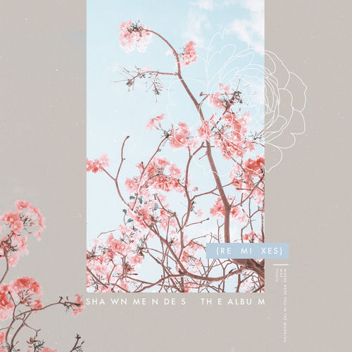 Portada de The Album (Remixes)