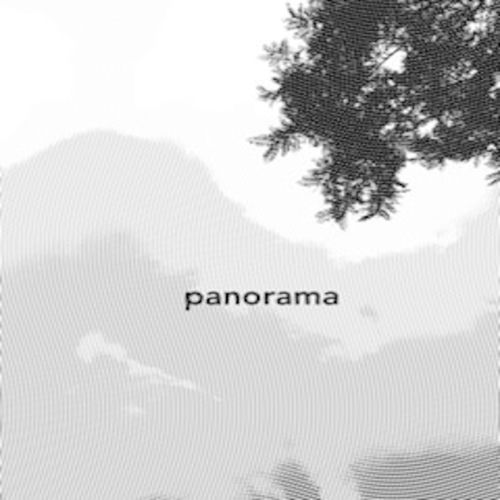 Portada de Panorama