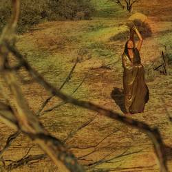 Portada de No Springtime