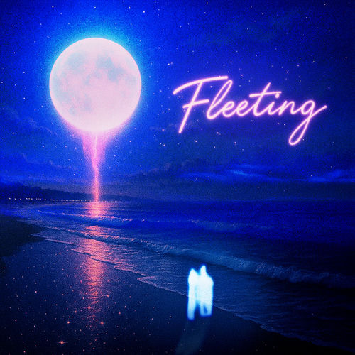 Portada de Fleeting