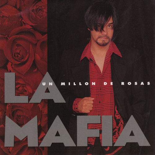 Portada de Un Millon De Rosas