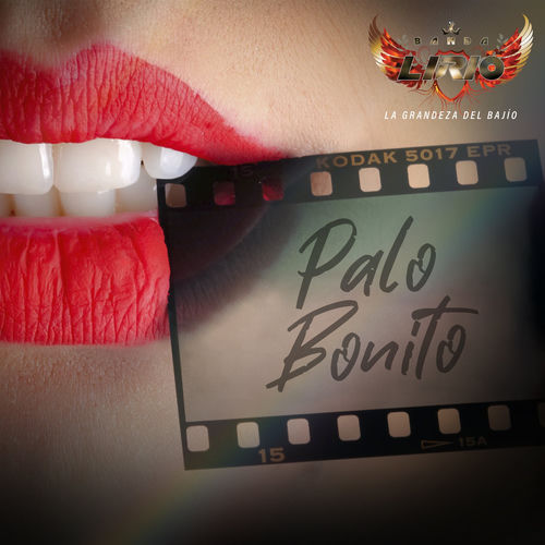Portada de Palo Bonito