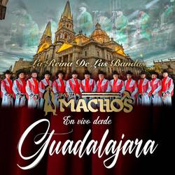 Portada de Desde Guadalajara (En Vivo)