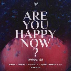 Portada de Are You Happy Now (Acoustic)