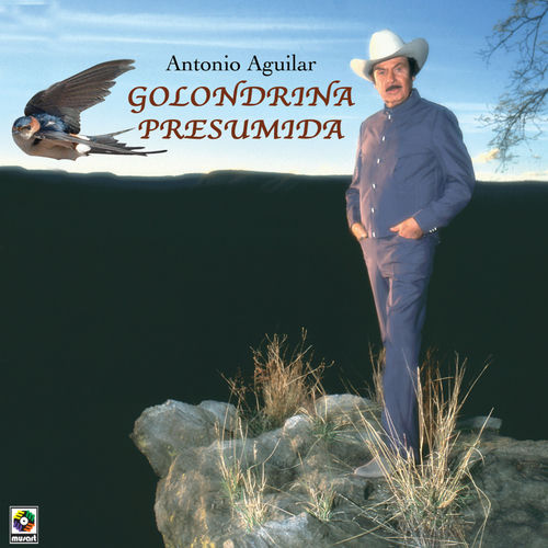 Portada de Golondrina Presumida