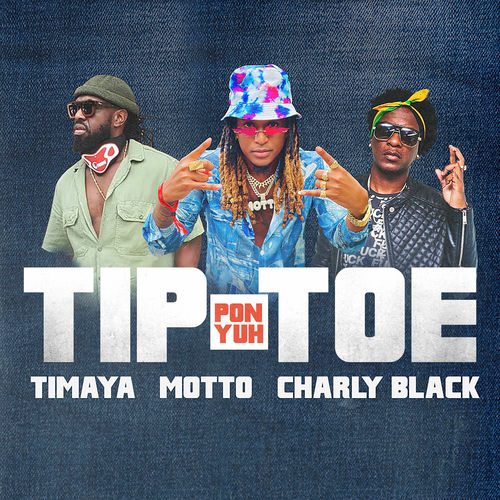 Portada de Tip Pon Yuh Toe