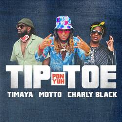 Portada de Tip Pon Yuh Toe