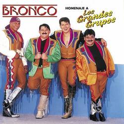 Portada de Homenaje A Los Grandes Grupos