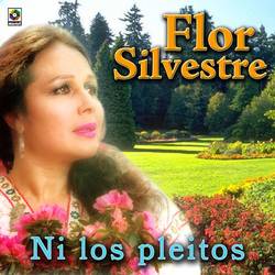 Portada de Ni Los Pleitos