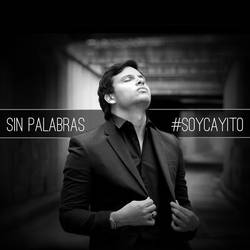 Portada de Sin Palabras