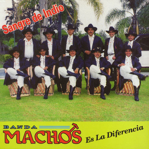 Portada de Sangre de indio