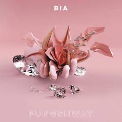Portada de FUNGSHWAY