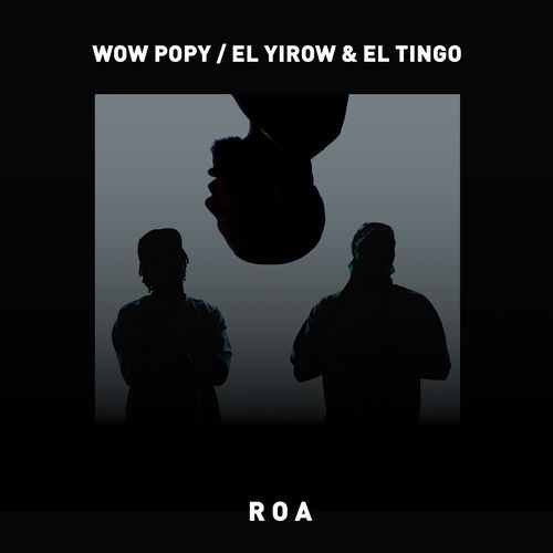 Portada de ROA
