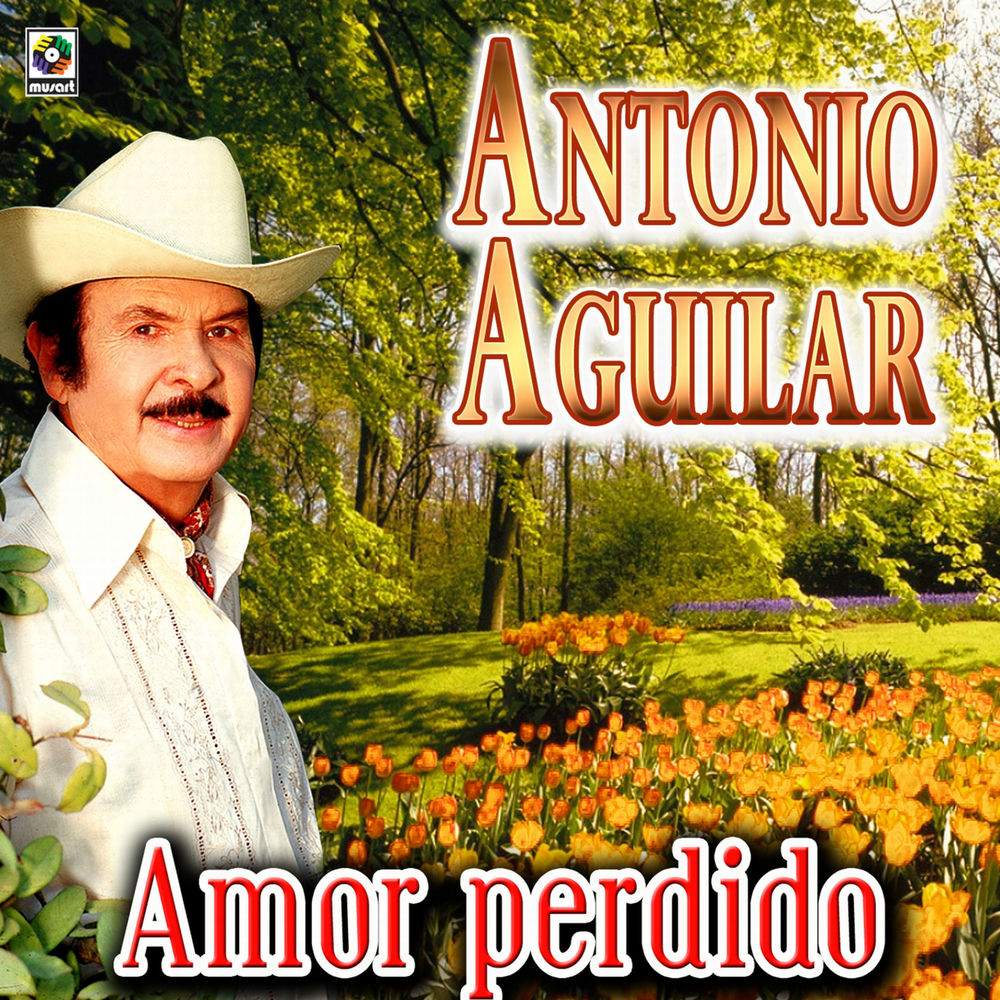 Portada de Rayito De Sol