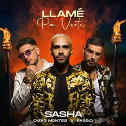 Portada de Llamé pa' verte