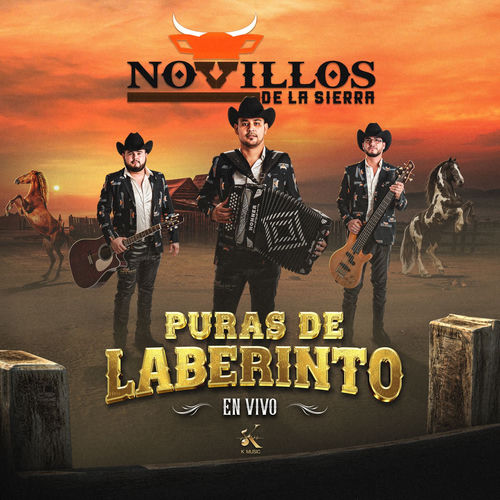 Portada de Puras de Laberinto (En Vivo)