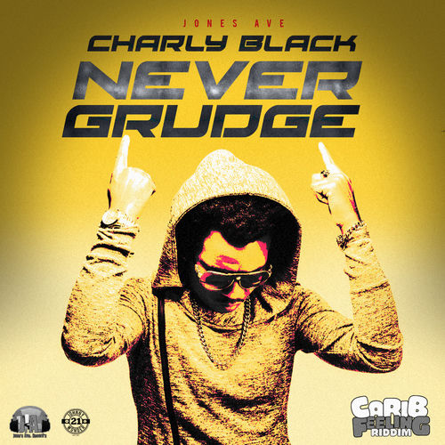 Portada de Never Grudge