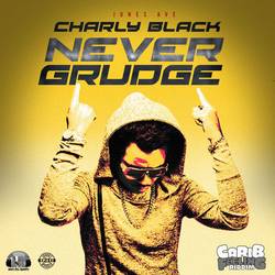Portada de Never Grudge