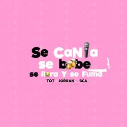 Portada de SE CANTA SE BEBE SE LLORA Y SE FUMA
