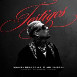 Portada de TESTIGOS