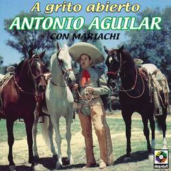 Portada de A Grito Abierto